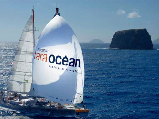 alt="Fondation Tara Océan sailing vessel with branded mainsail navigating open blue seas, representing Biotherm's partnership with the marine research foundation."