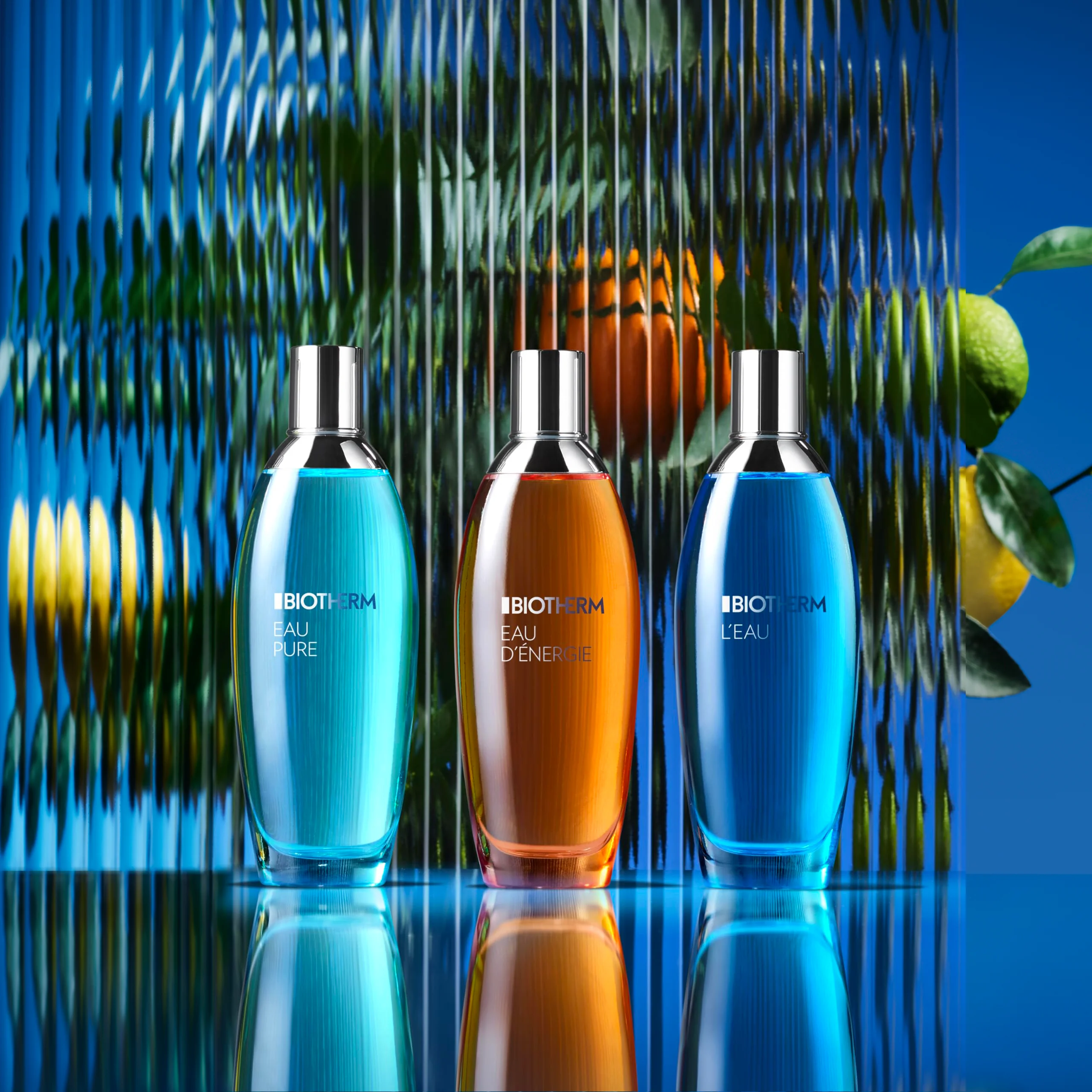 Eau Collection